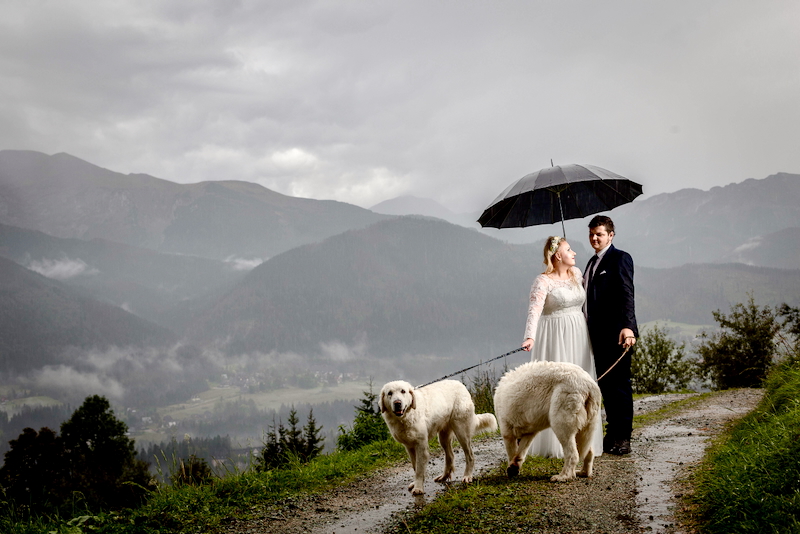 Romantyczny fotografia ślubna w Alpach